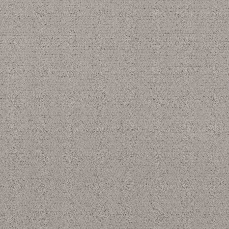 Shaw Floors Roll Special Xy362 Gravity