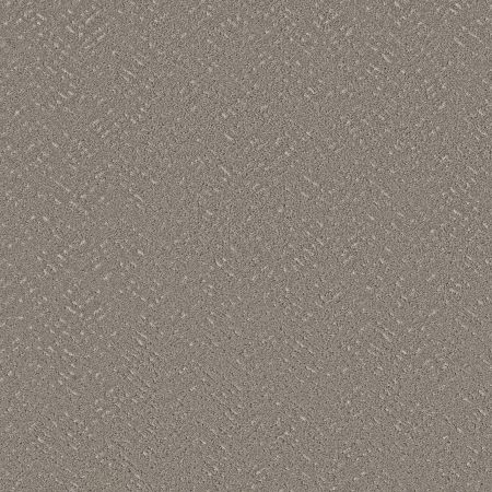 Shaw Floors Roll Special Xy363 Ashes