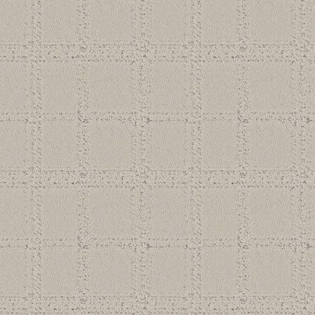 Shaw Floors Roll Special Xy364 Marble