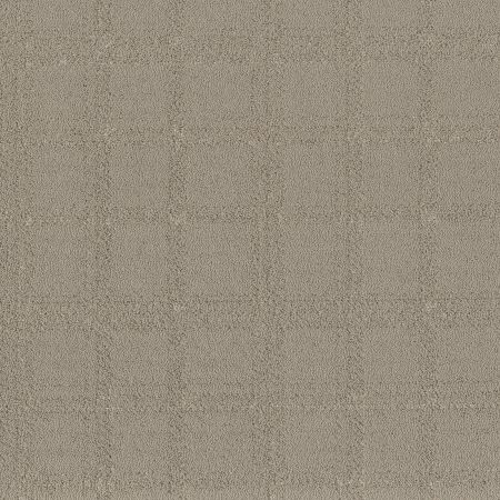 Shaw Floors Roll Special Xy364 Sculpture