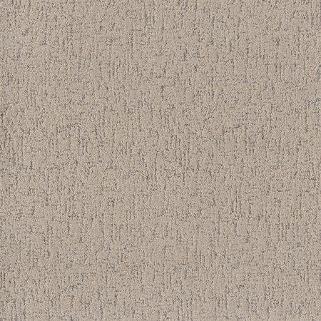 Shaw Floors Roll Special Xy365 Warm Light