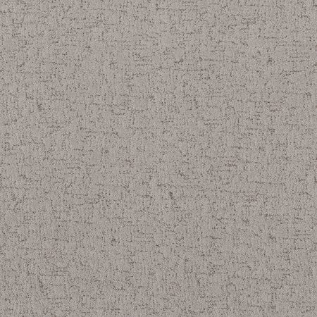 Shaw Floors Roll Special Xy365 Gravity