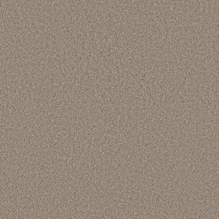 Shaw Floors Roll Special Xy366 Soft Sense