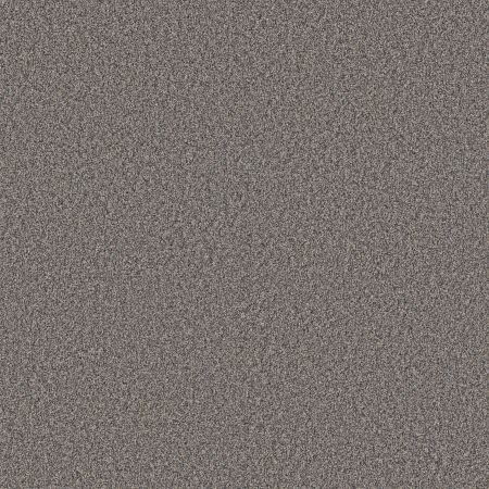 Shaw Floors Roll Special Xy367 Shadow