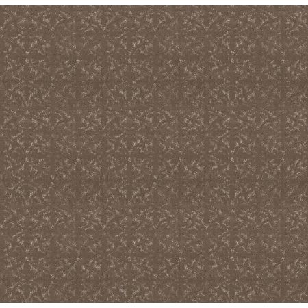 Shaw Floors Roll Special Xy369 Cameo