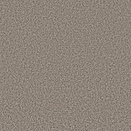 Shaw Floors Simply The Best Xy435 Dolphin