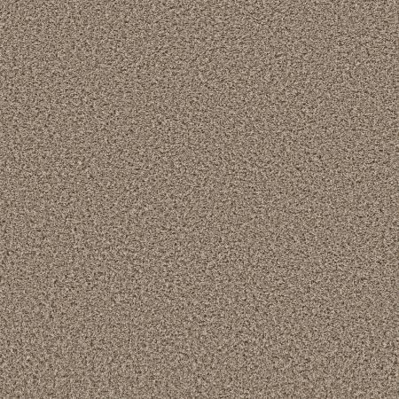 Shaw Floors Roll Special Xy437 Nature Trail