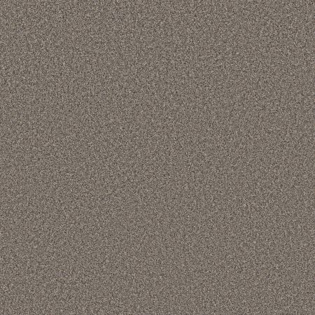 Shaw Floors Roll Special Xy442 Pier