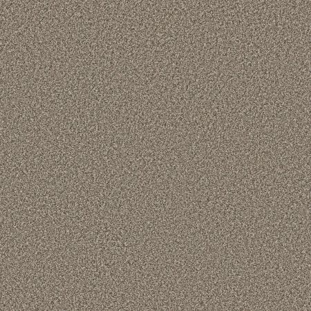 Shaw Floors Roll Special Xy442 Pecan Sandie