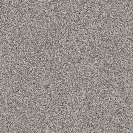 Shaw Floors Roll Special Xy443 Fossil