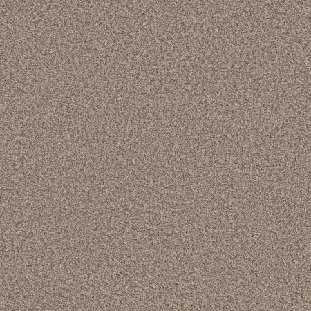 Shaw Floors Roll Special Xy443 Canoe