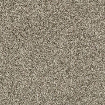 Shaw Floors Value Collections Xz010 Net Clay