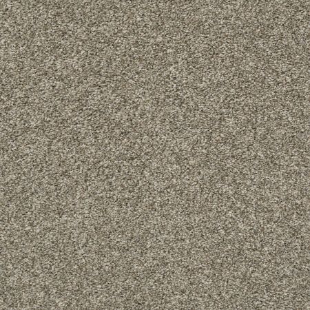 Shaw Floors Value Collections Xz011 Net Clay