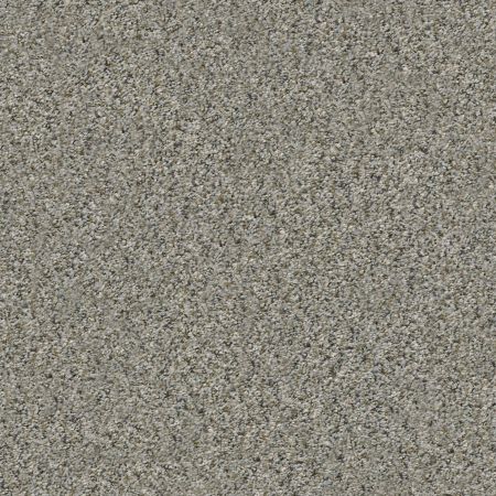 Shaw Floors Value Collections Xz014 Net Rhino