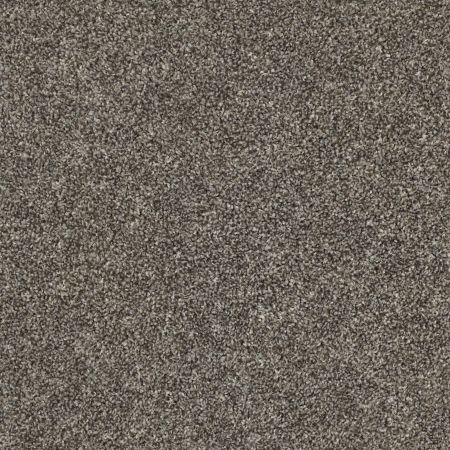 Shaw Floors Value Collections Xz019 Net Hammerhead