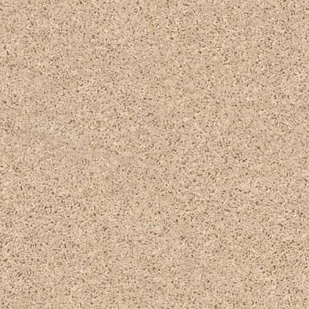 Shaw Floors Value Collections Xz020 Net Desert Sand