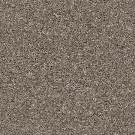 Shaw Floors Value Collections Xz020 Net Mountain Top