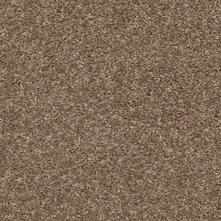 Shaw Floors Value Collections Xz020 Net Beaver Creek