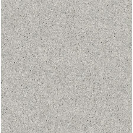 Shaw Floors Roll Special Xz048 Shadow