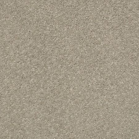 Shaw Floors Roll Special Xz048 Sandstone
