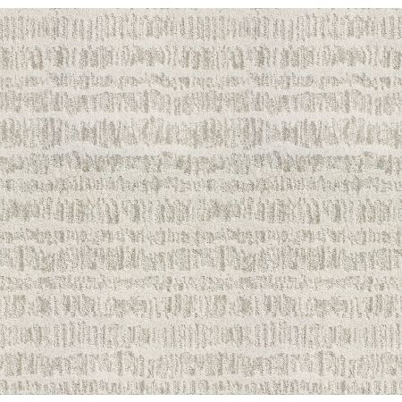 Shaw Floors Roll Special Xz054 Delicate