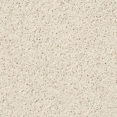 Shaw Floors Roll Special Xz057 Awaken