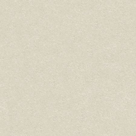 Shaw Floors Roll Special Xz071 Modern Loft