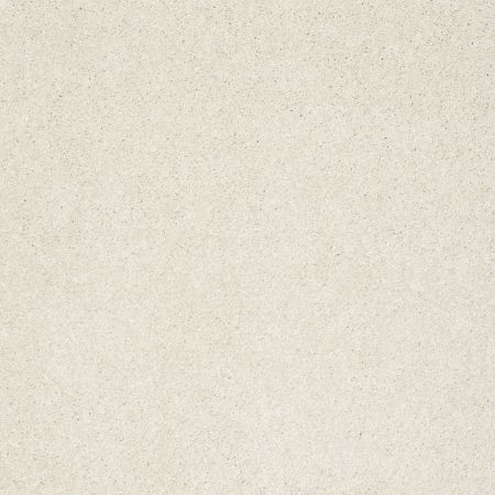 Shaw Floors Roll Special Xz072 Modest