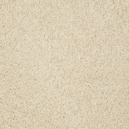 Shaw Floors Roll Special Xz074 Restoration