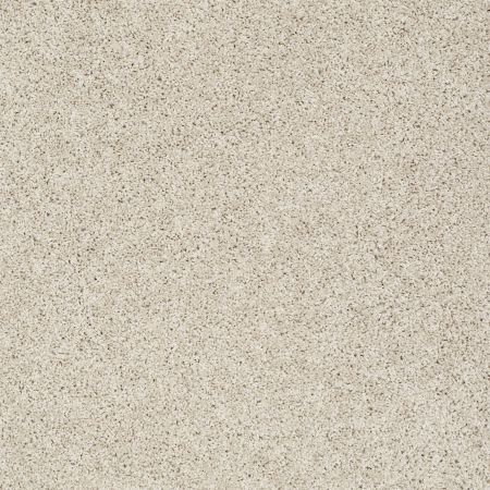 Shaw Floors Roll Special Xz074 Neutral Ground