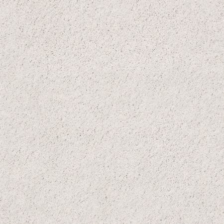 Shaw Floors Roll Special Xz074 Dove