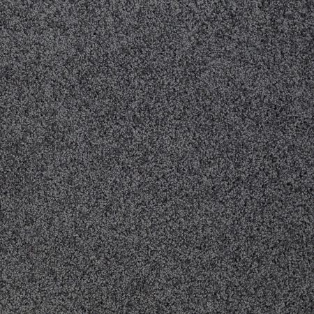 Shaw Floors Roll Special Xz074 Urban Studio