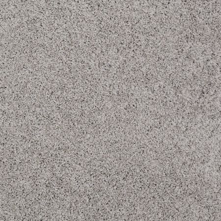 Shaw Floors Roll Special Xz074 Anchor