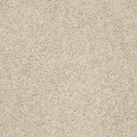 Shaw Floors Roll Special Xz074 Suitable