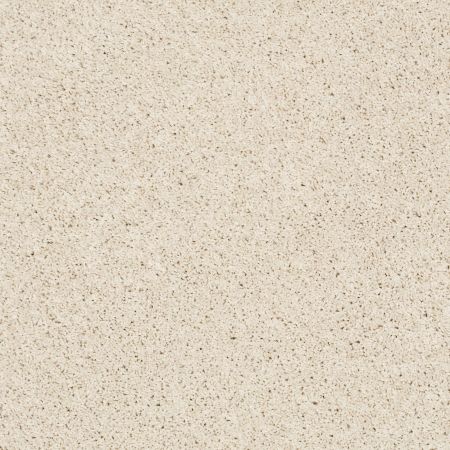 Shaw Floors Roll Special Xz075 Final Straw