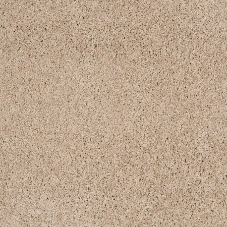 Shaw Floors Roll Special Xz075 Hickory