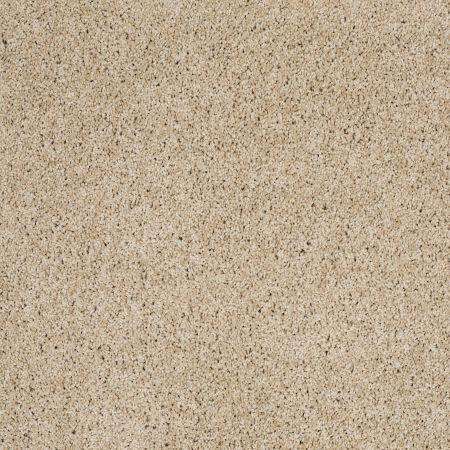 Shaw Floors Roll Special Xz075 Suitable