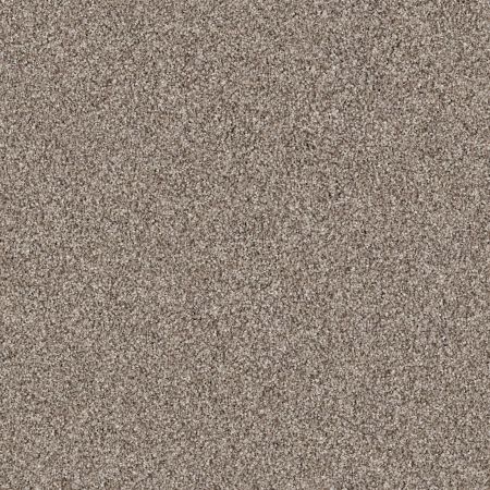 Shaw Floors Roll Special Xz078 Triumph