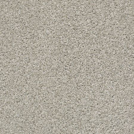 Shaw Floors Roll Special Xz114 Winter Birch