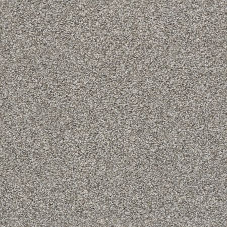 Shaw Floors Roll Special Xz114 Flannel Gray