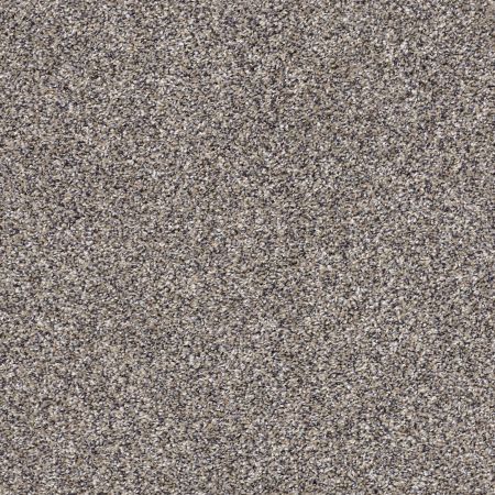 Shaw Floors Value Collections Xz143 Net Reflection