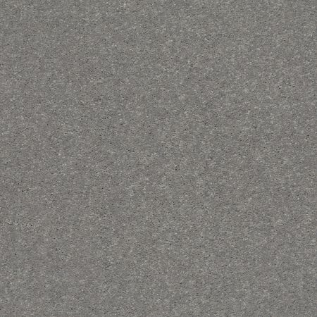 Shaw Floors Xz154 Taupe Stone