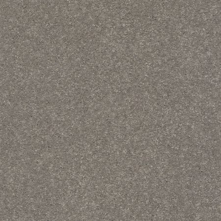 Shaw Floors Xz154 Tree Bark