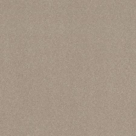 Shaw Floors Value Collections Xz159 Net Dreamy