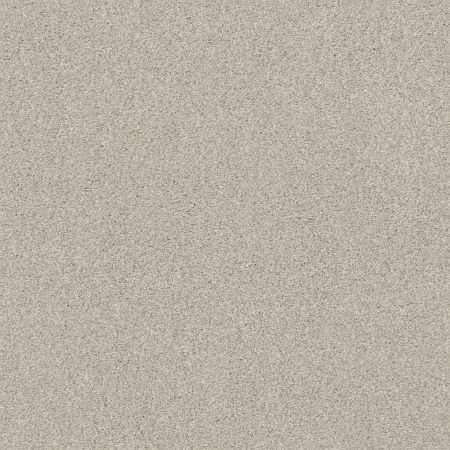 Shaw Floors Xz175 Thoughtful