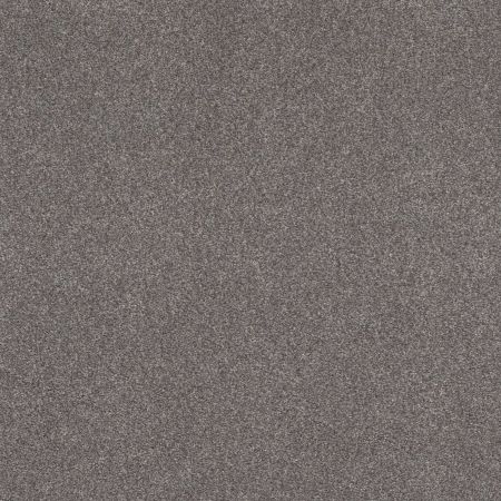 Shaw Floors Xz175 Well Traveled