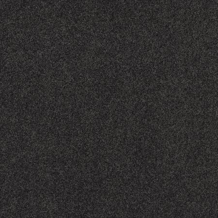 Shaw Floors Xz175 Wrought Iron