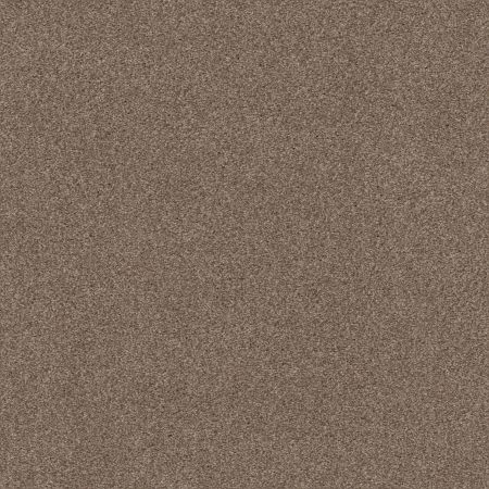 Shaw Floors Xz175 Tumbleweed