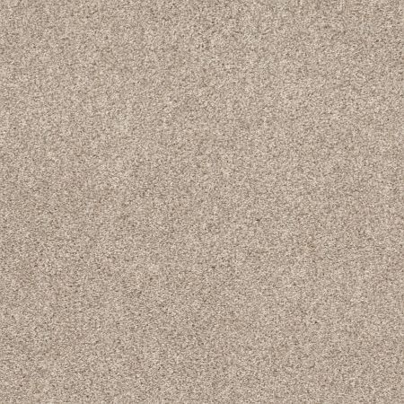 Shaw Floors Xz191 Kidskin