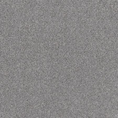 Shaw Floors Xz191 Silver Lining